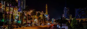 LDI Las Vegas Banner 2016